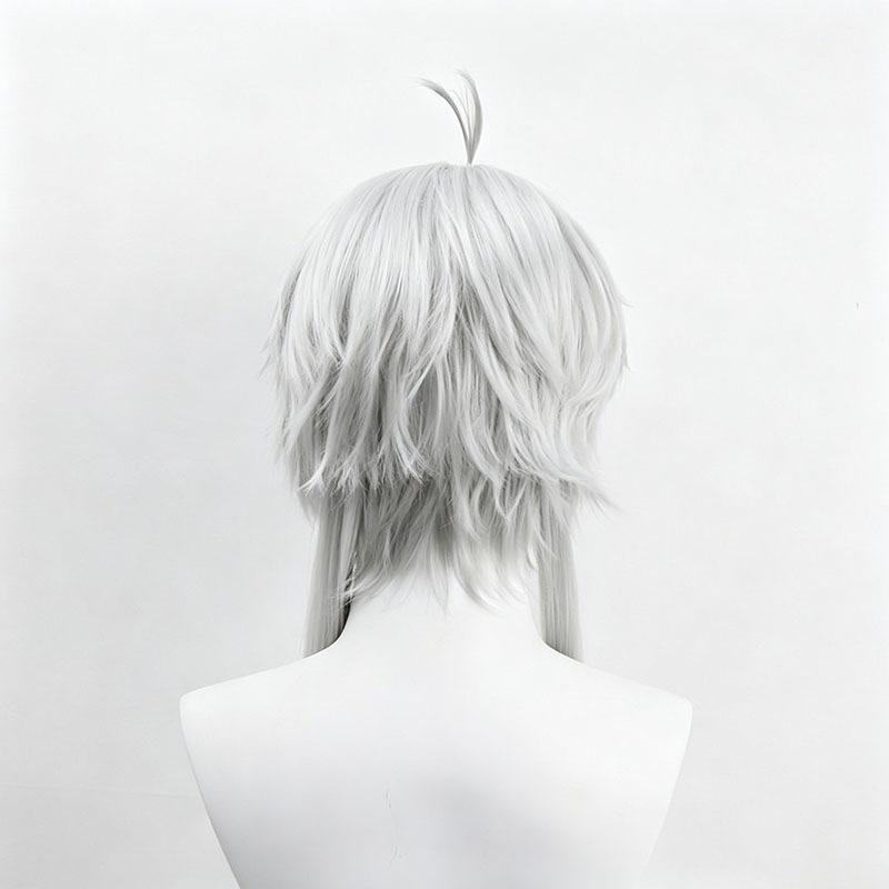 Anime Sylphiette Cosplay Wig G - đánh giá và giá Men Accessories Earrings
